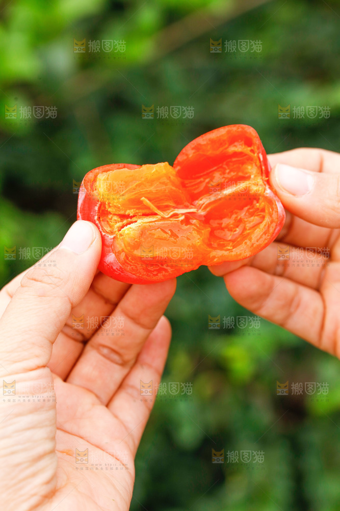 手里拿着蜜柿