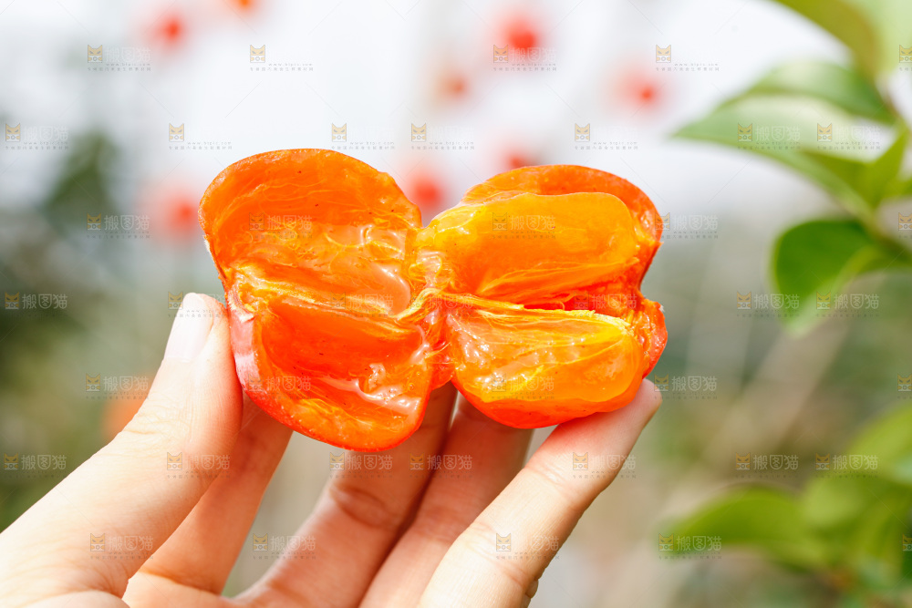 手里拿着蜜柿