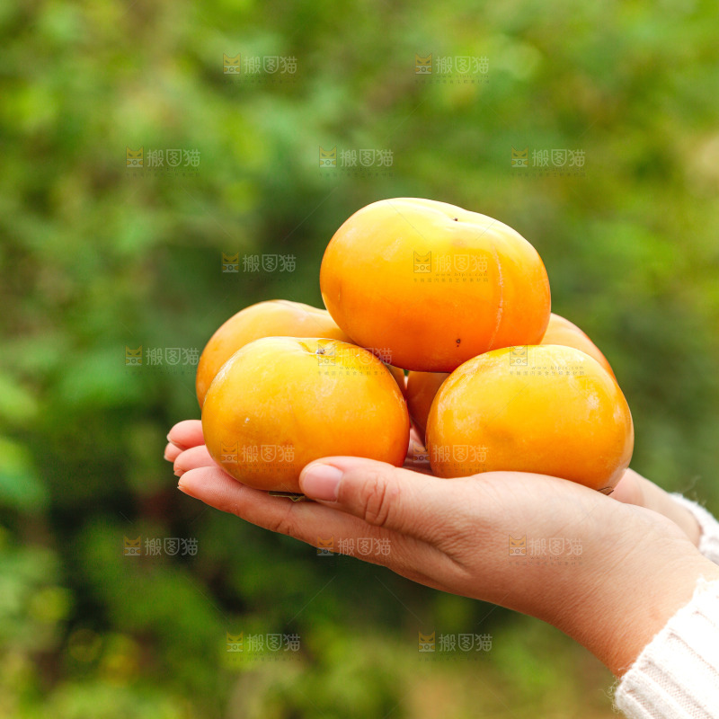 手里拿着奶油脆柿