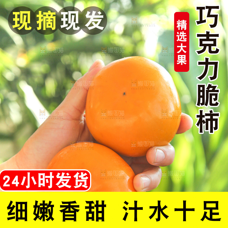 浅底上的脆柿