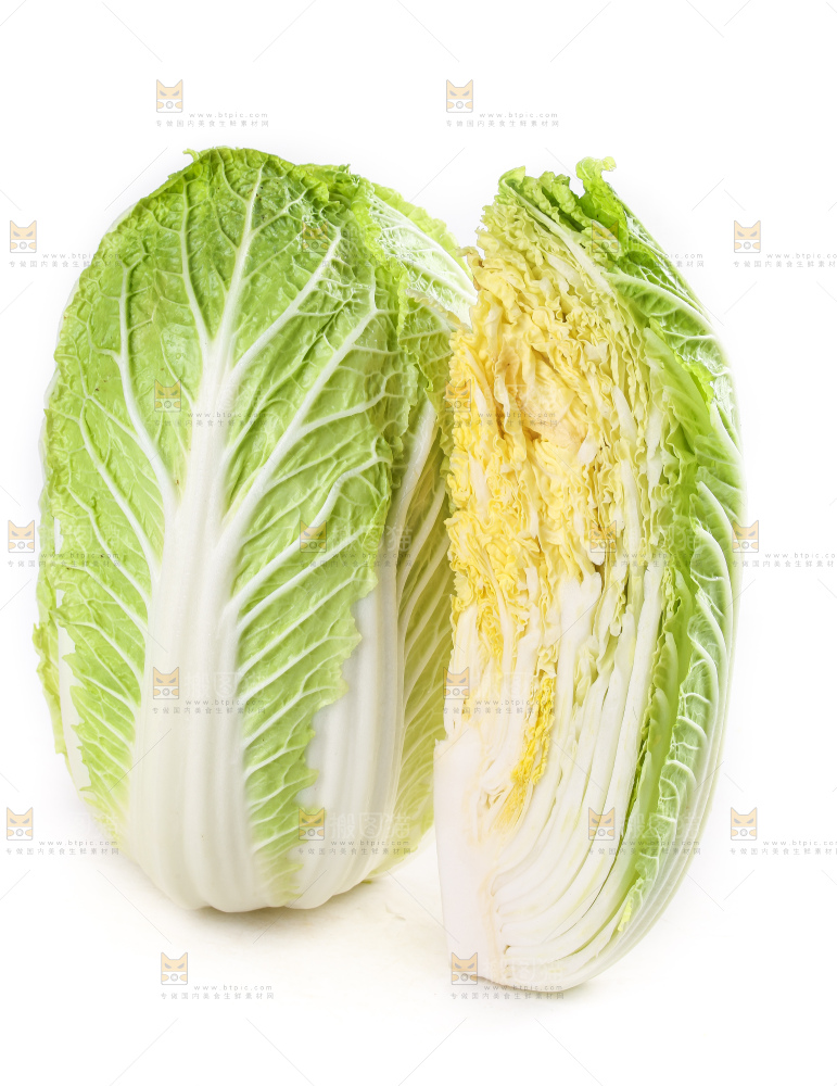 白底上的大白菜