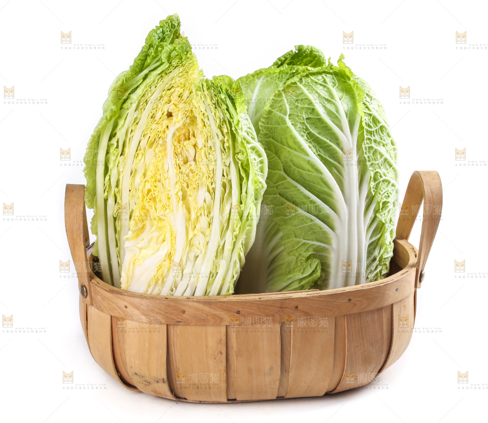 白底上的大白菜
