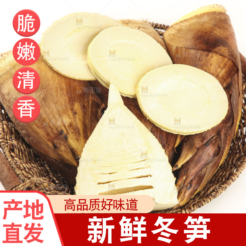 白底上的冬笋
