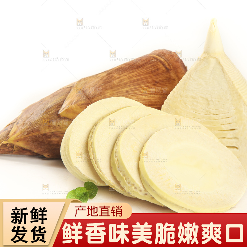 白底上的冬笋