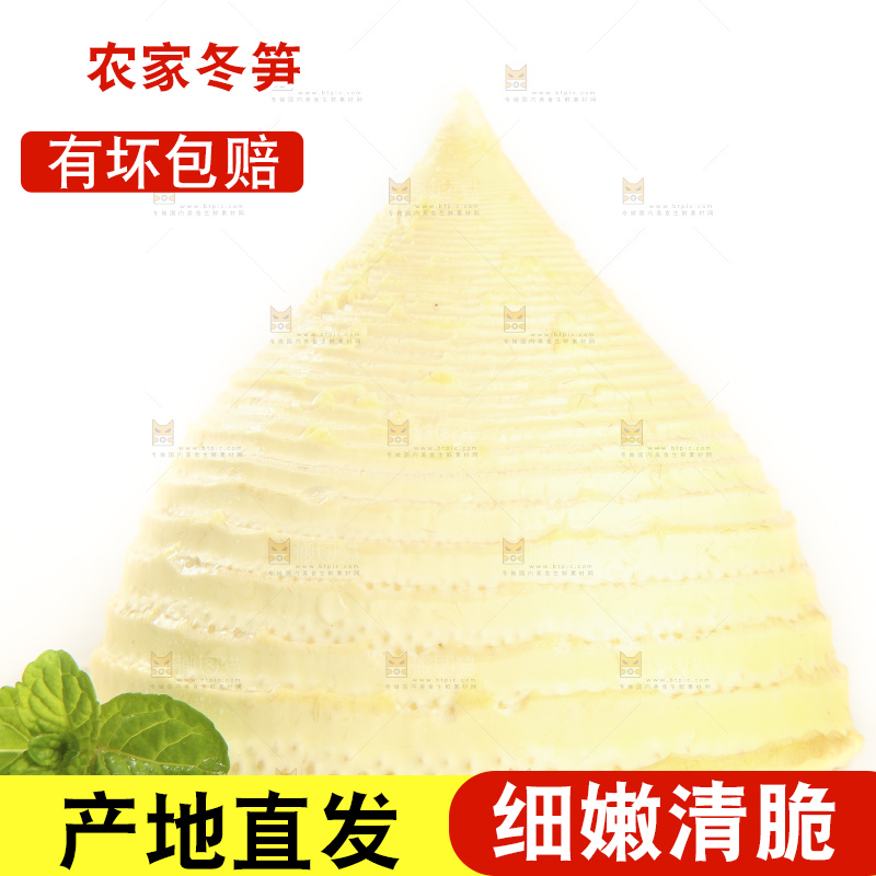 白底上的冬笋