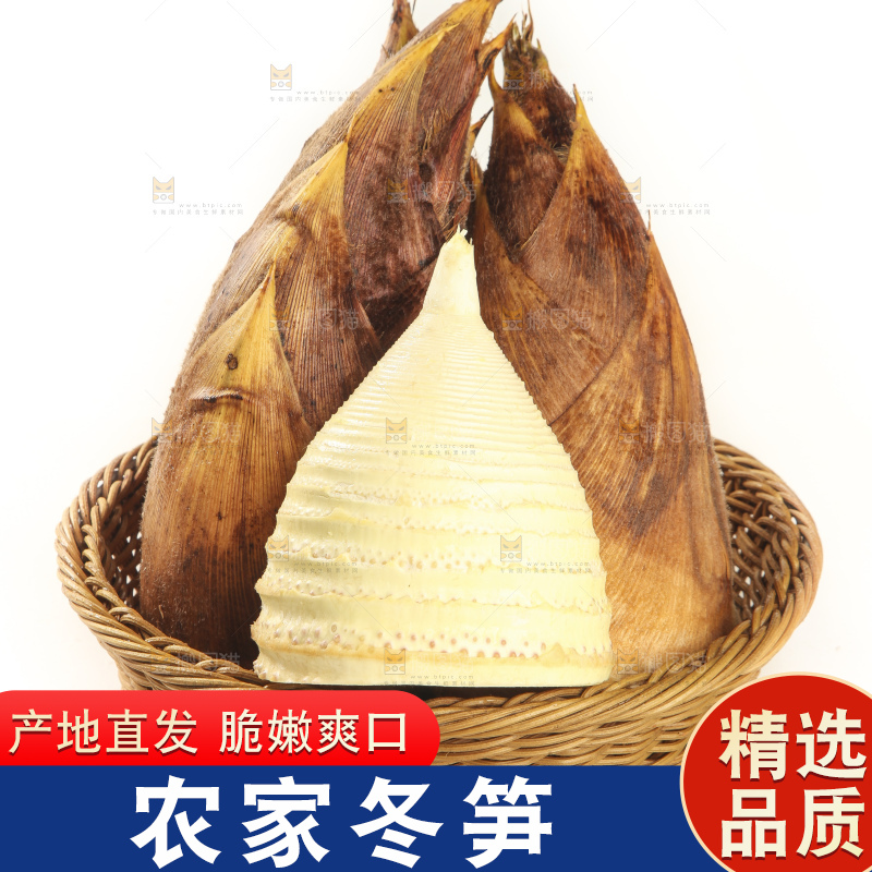白底上的冬笋