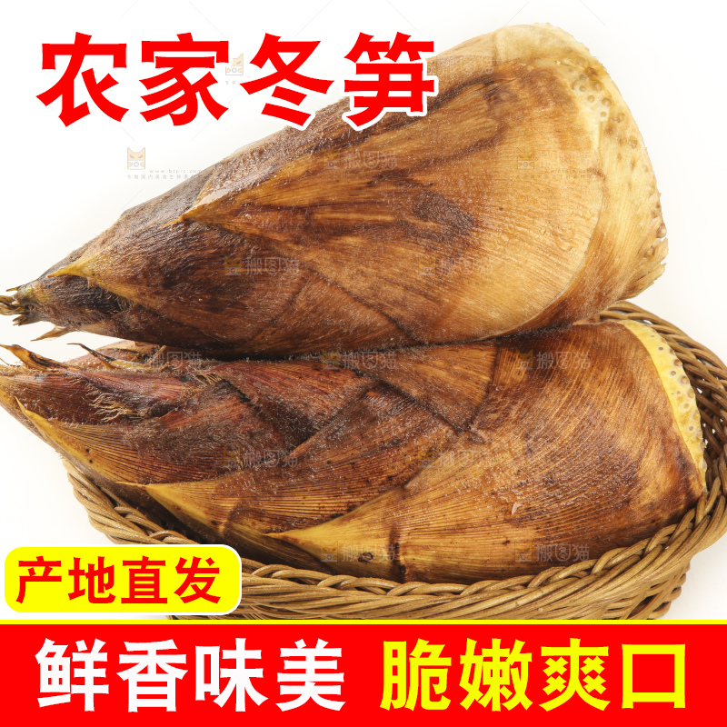 白底上的冬笋