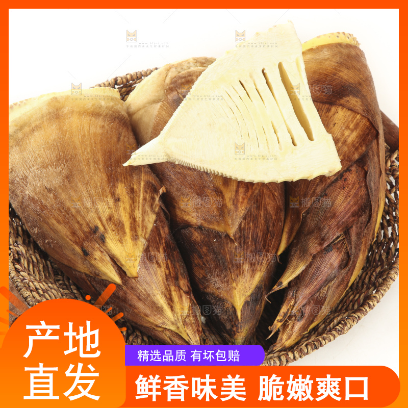 白底上的冬笋
