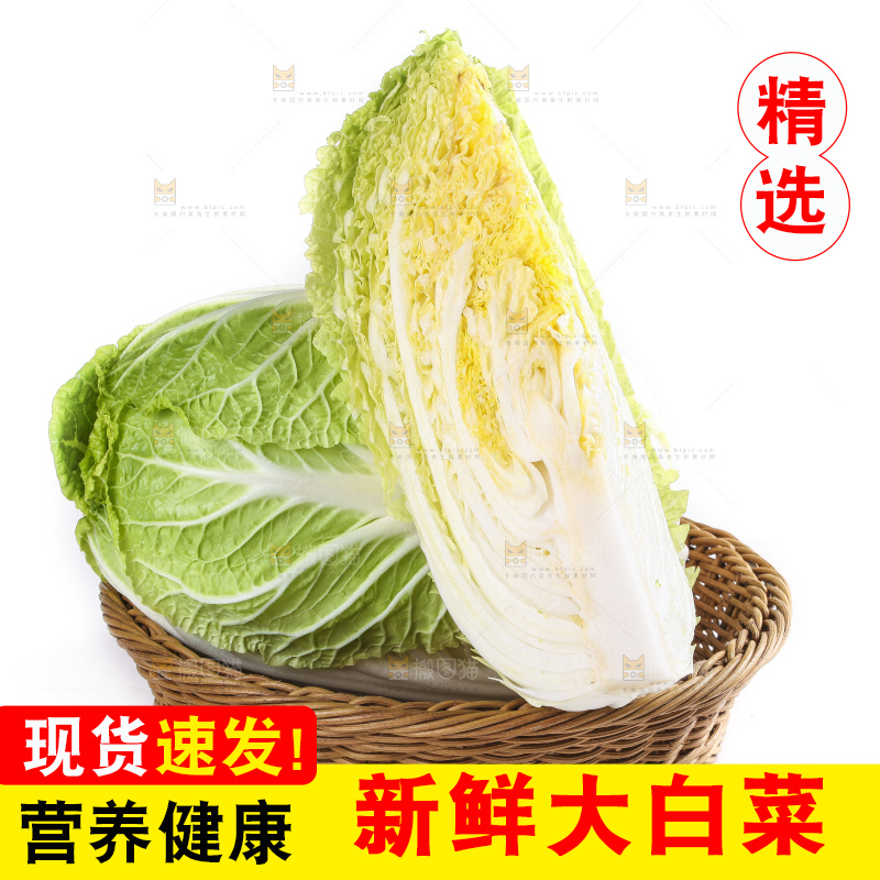 白底上的大白菜