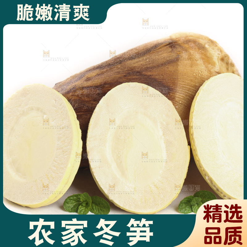 白底上的冬笋
