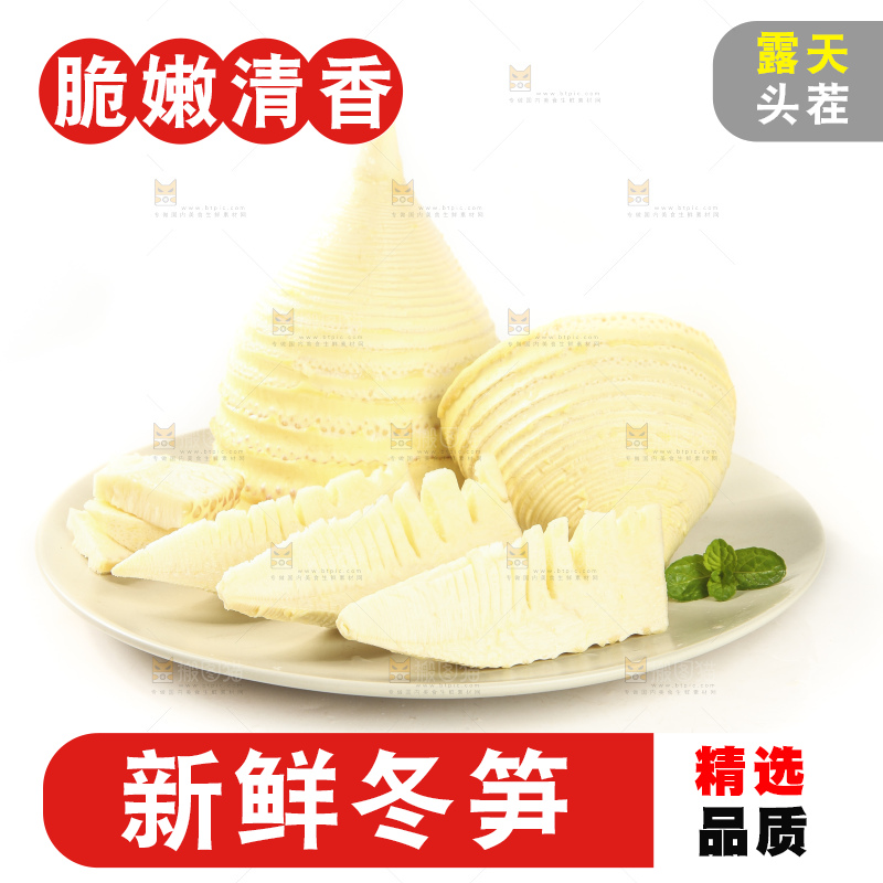 白底上的冬笋