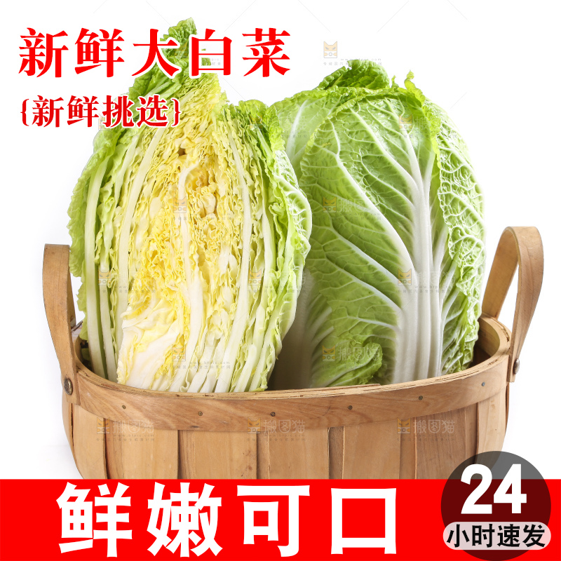 白底上的大白菜