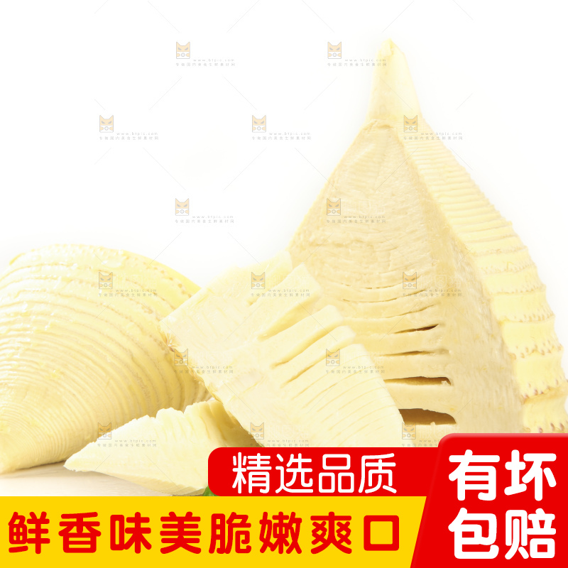 白底上的冬笋