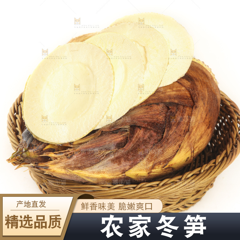 白底上的冬笋