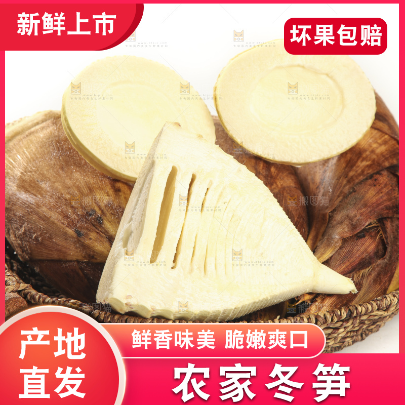 白底上的冬笋