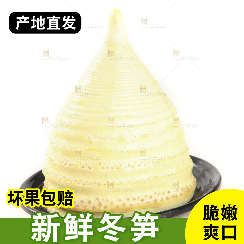 白底上的冬笋