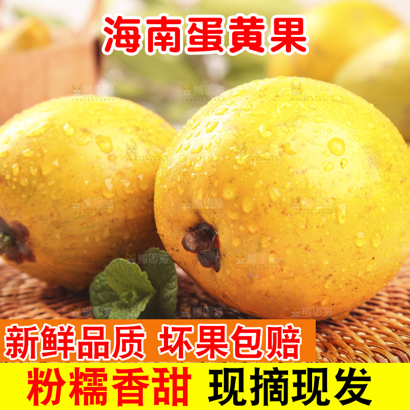 浅底上的蛋黄果