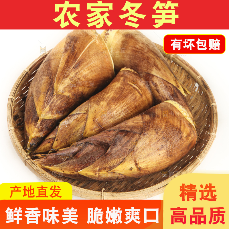 白底上的冬笋
