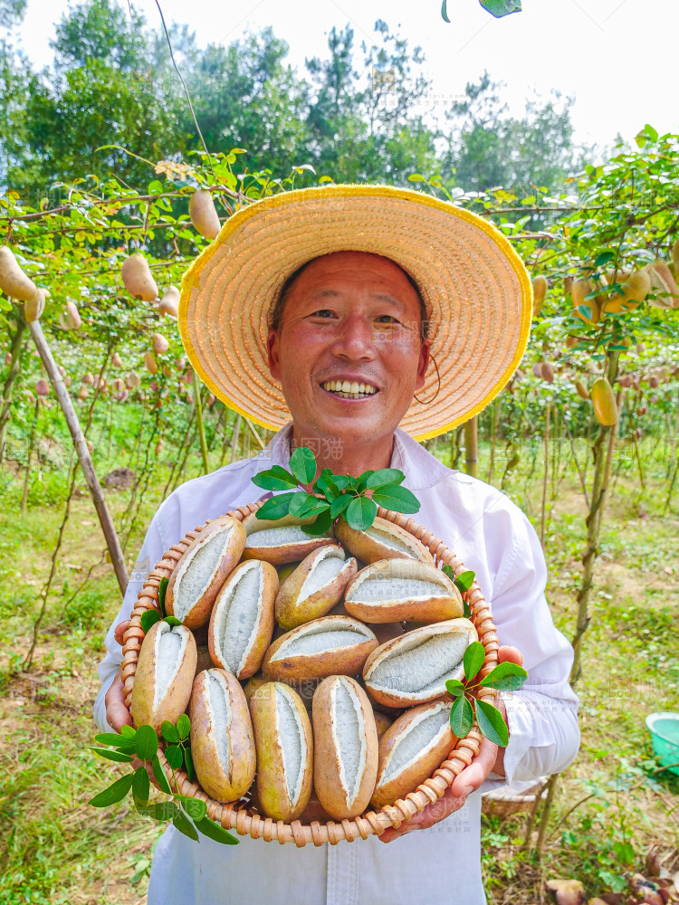 手里拿着现摘八月炸