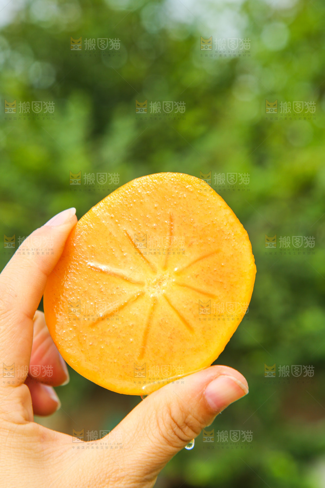 手里拿着新鲜脆柿