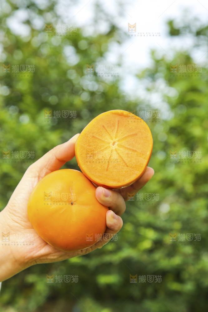 手里拿着新鲜脆柿