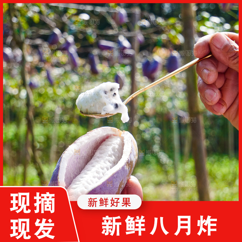 手里拿着现摘八月炸
