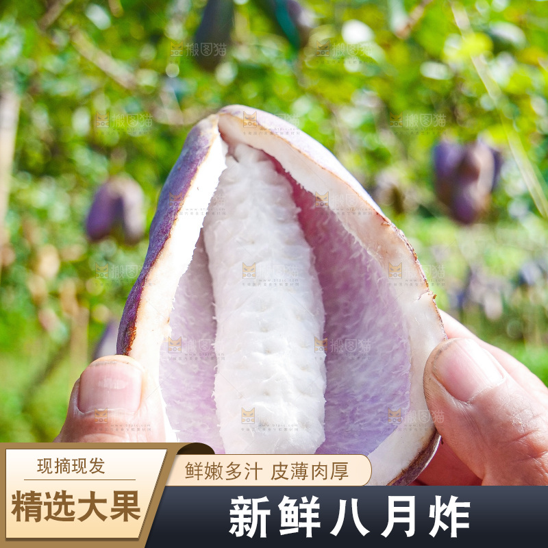 手里拿着现摘八月炸