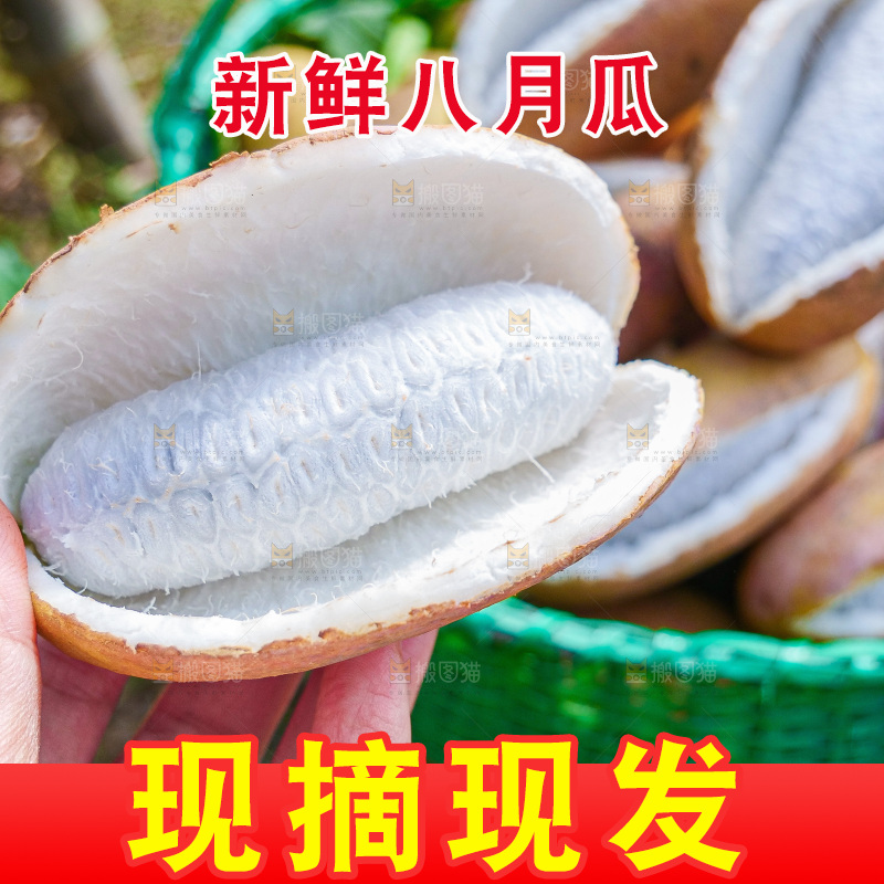 手里拿着现摘八月炸
