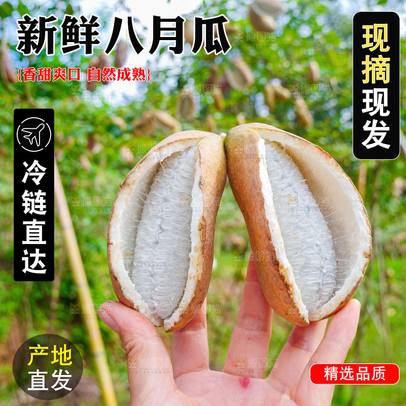 手里拿着现摘八月炸