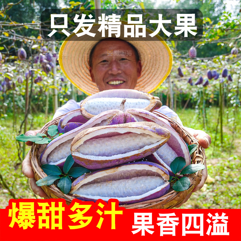 手里拿着现摘八月炸