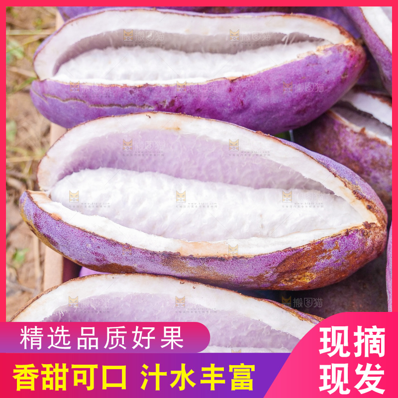 手里拿着现摘八月炸