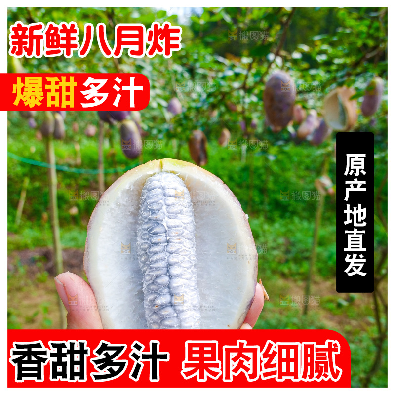 树上的新鲜八月瓜