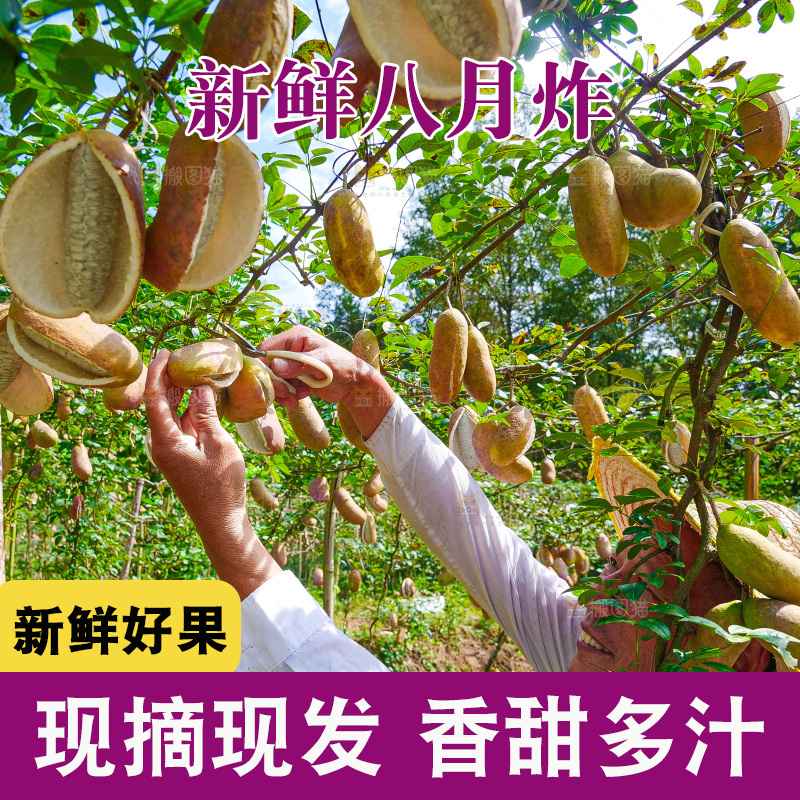 手里拿着现摘八月炸