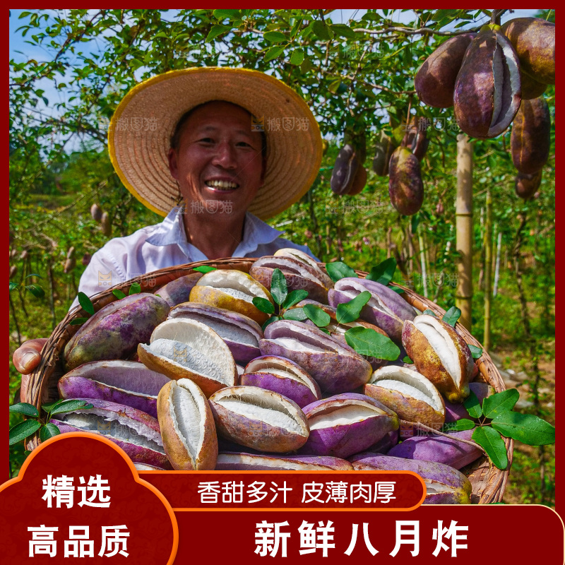 手里拿着现摘八月炸