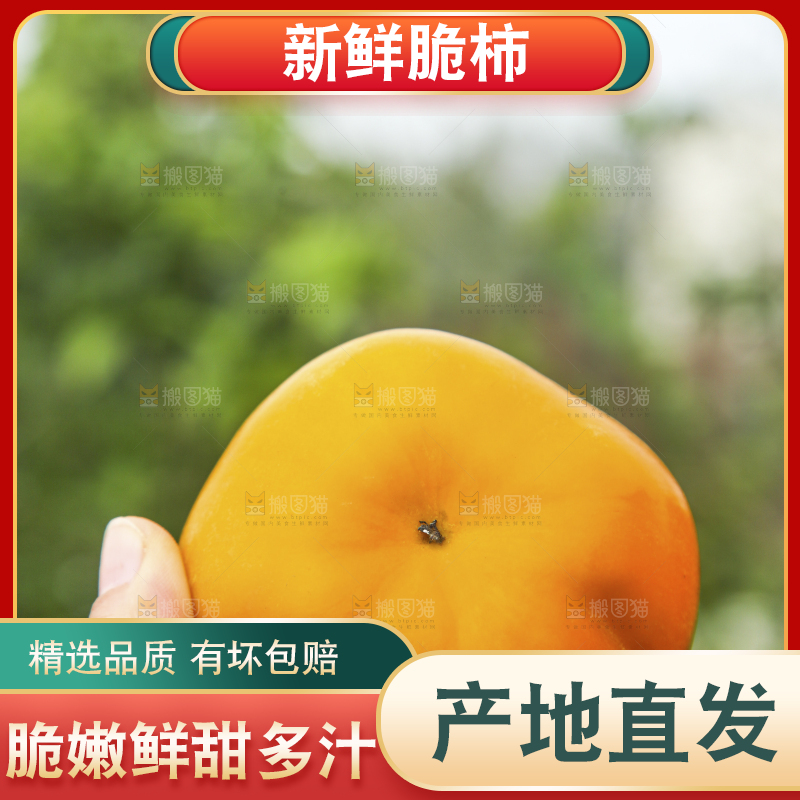 手里拿着新鲜脆柿