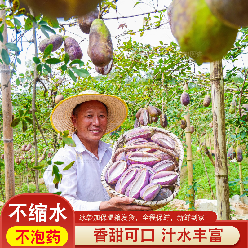 手里拿着现摘八月炸