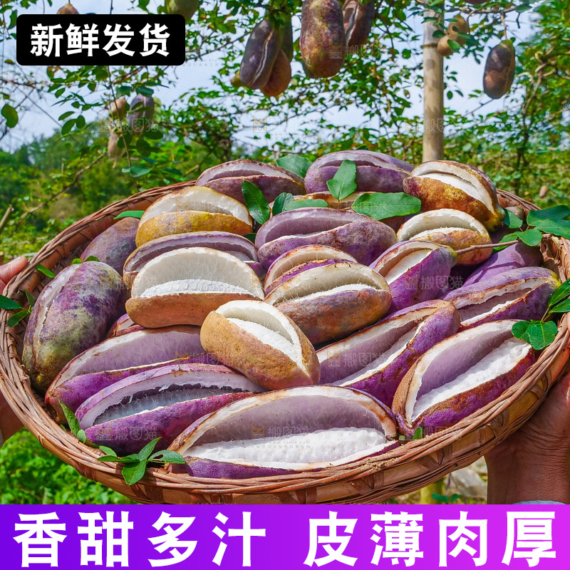 手里拿着现摘八月炸