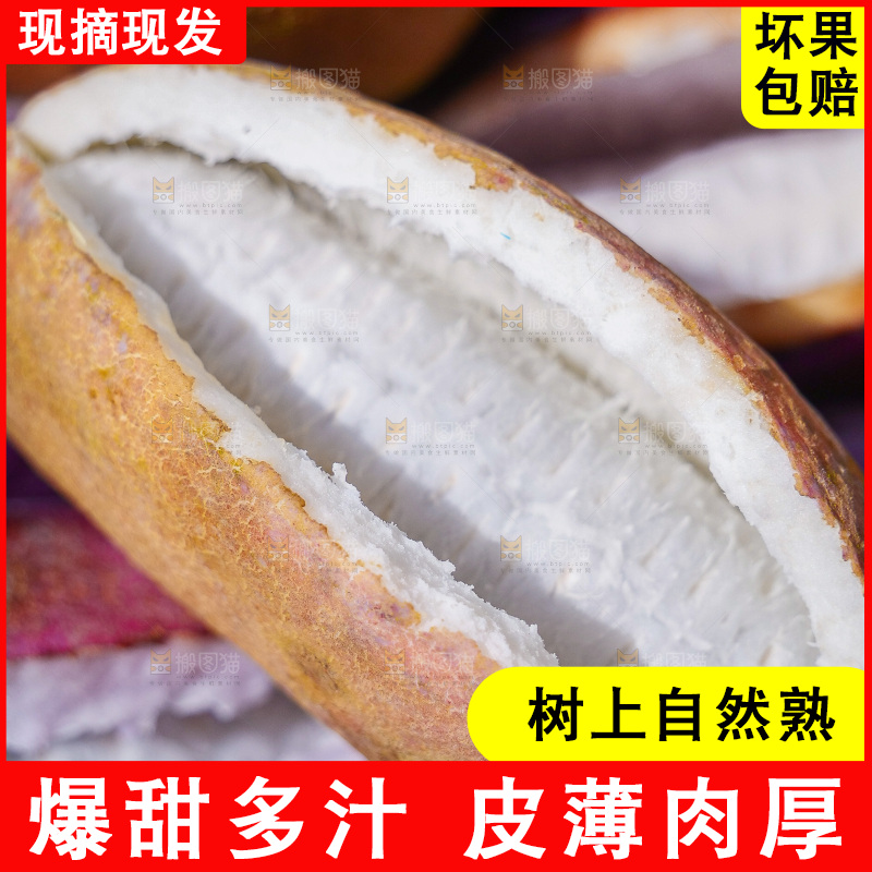 手里拿着现摘八月炸