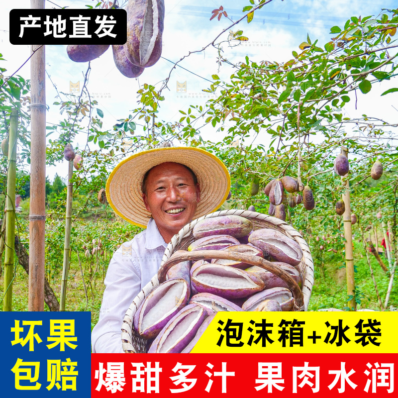 手里拿着现摘八月炸