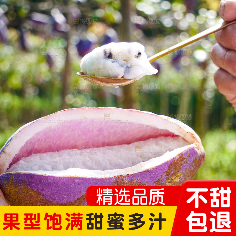 手里拿着现摘八月炸
