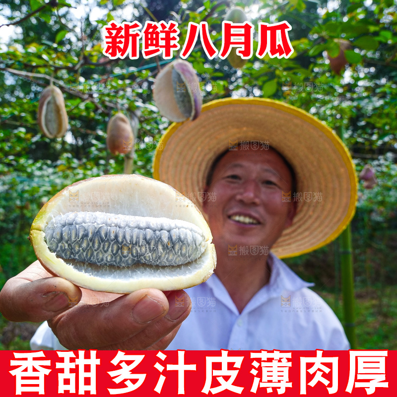 手里拿着现摘八月炸
