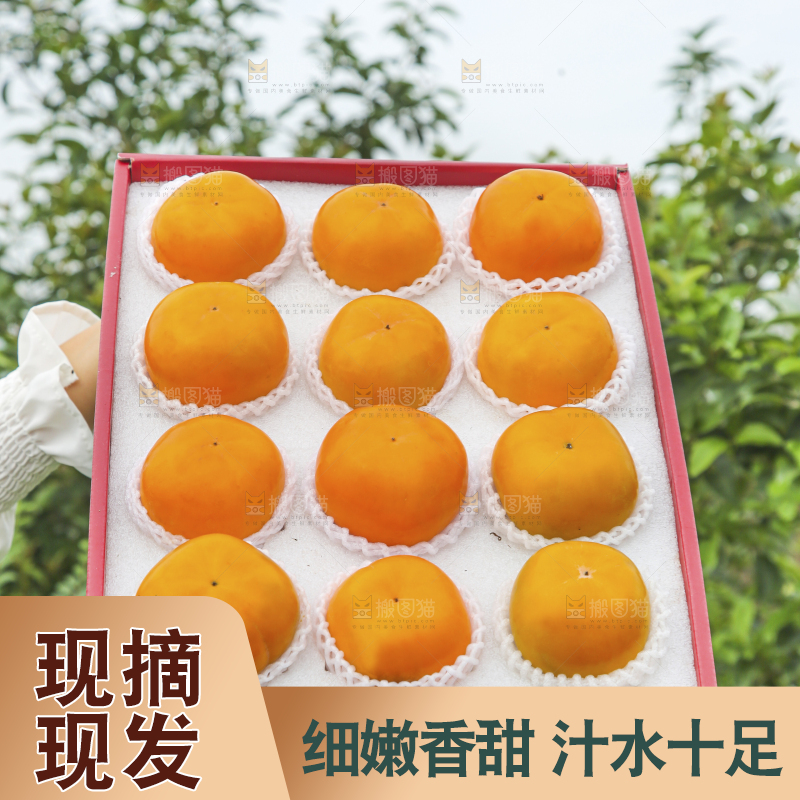 手里拿着新鲜脆柿