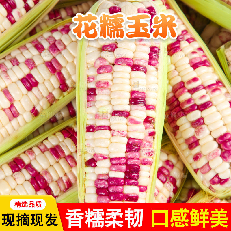 白底上的花糯玉米