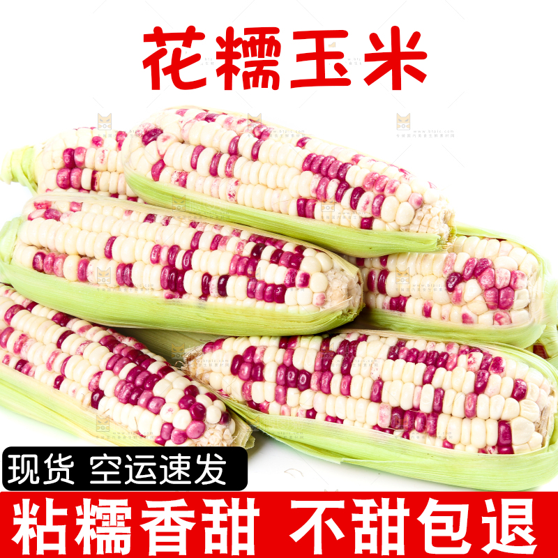 白底上的花糯玉米