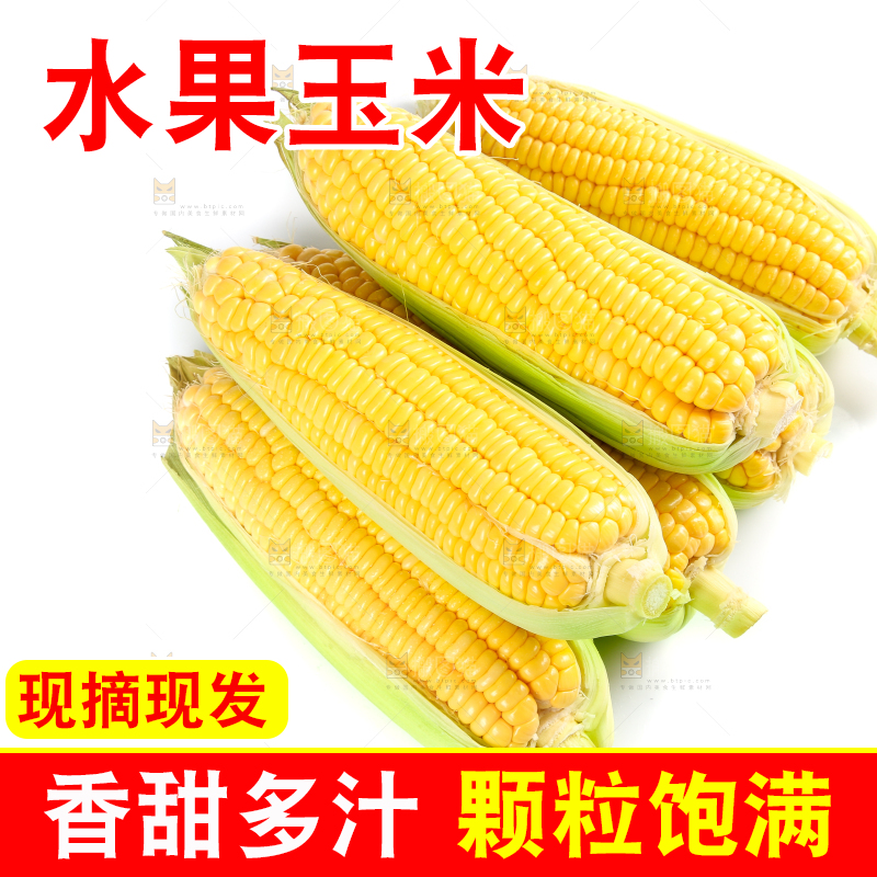 白底上的水果玉米