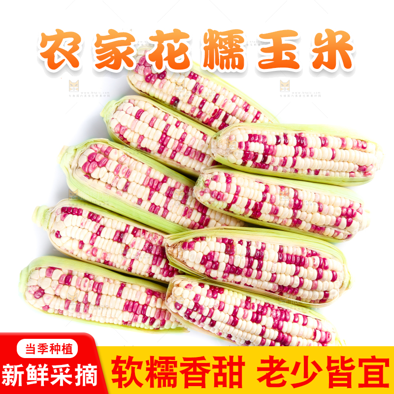 白底上的花糯玉米