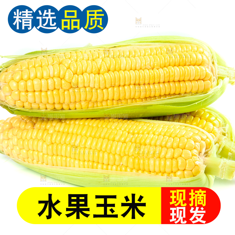 白底上的水果玉米
