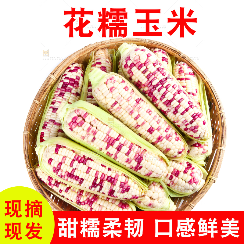 白底上的花糯玉米