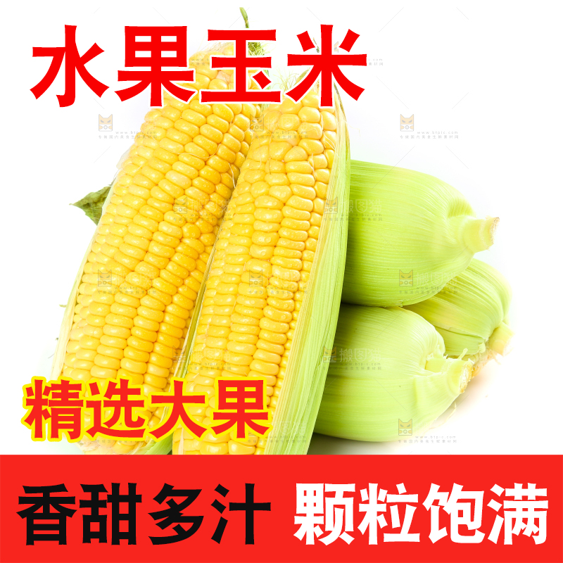 白底上的水果玉米