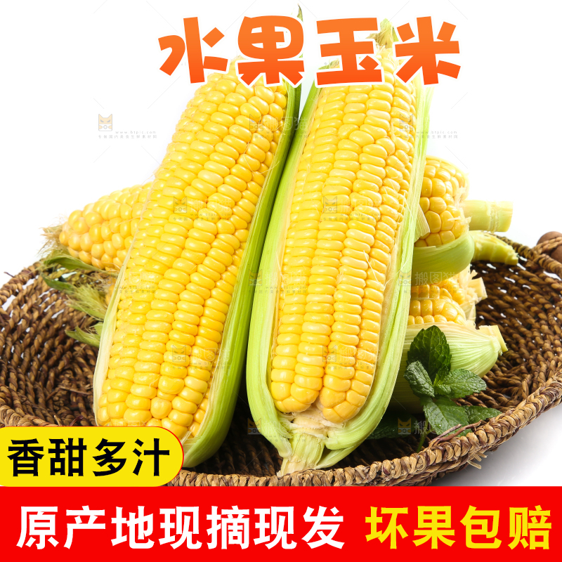 白底上的水果玉米